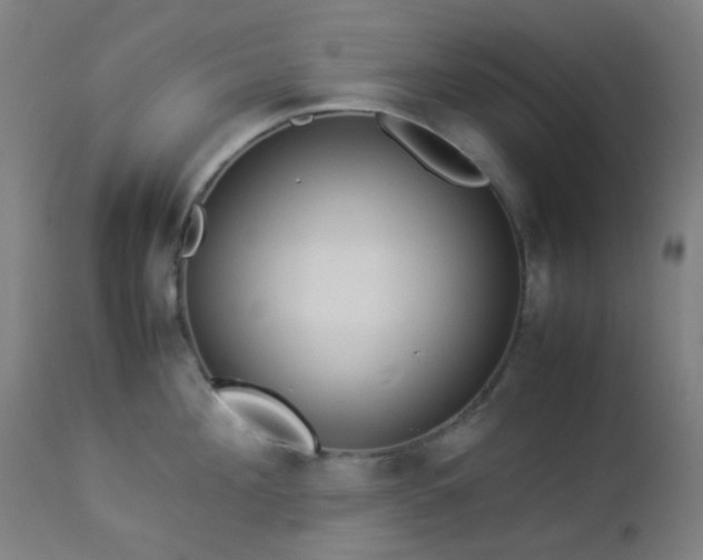 X0000112870908200908211423