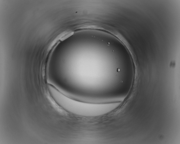 X0000112870909200908211423