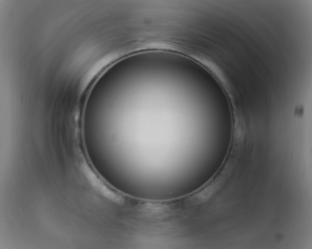 X0000112870910200908211423