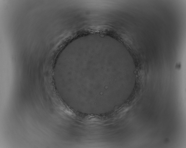 X0000112870913200908211422