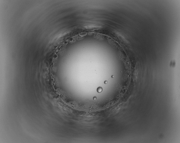 X0000112870917200908211422