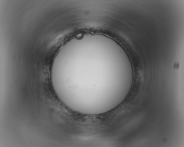 X0000112870918200908211422