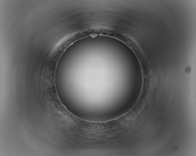 X0000112870919200908211422