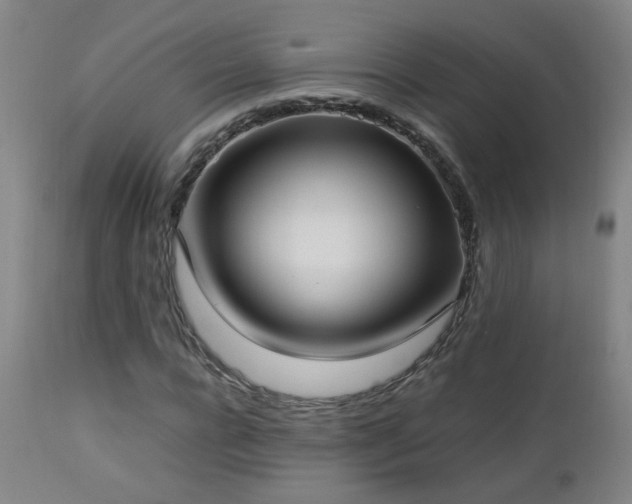 X0000112870920200908211422