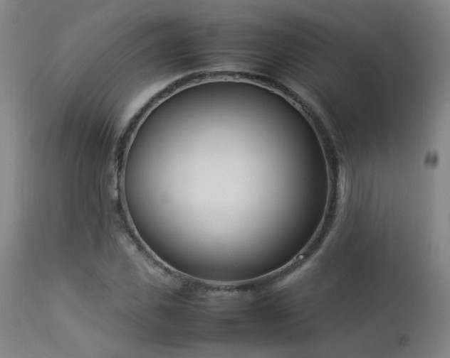 X0000112870925200908211422