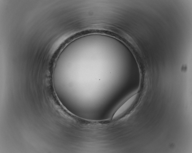 X0000112870926200908211423