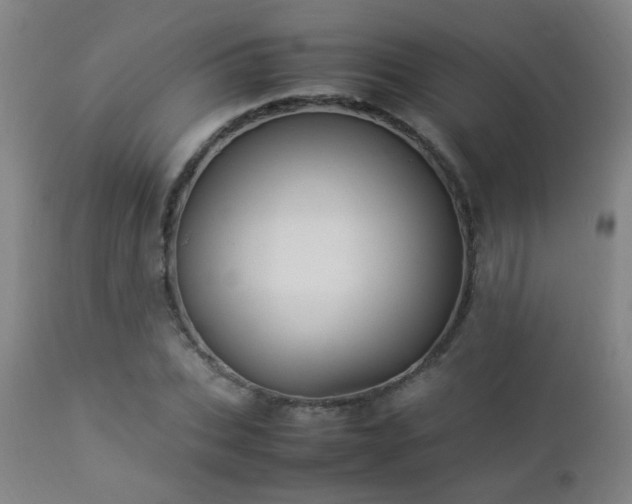 X0000112870927200908211423