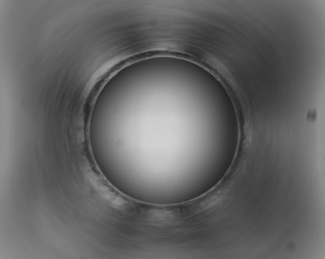 X0000112870931200908211423