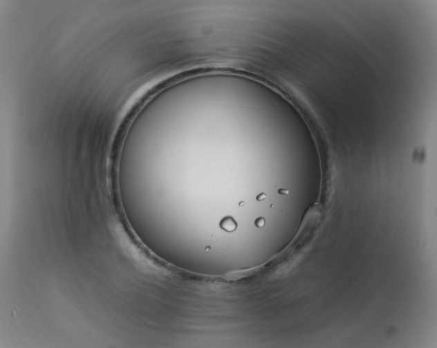 X0000112870932200908211423