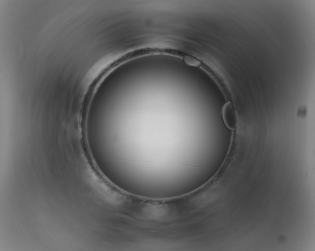 X0000112870935200908211423