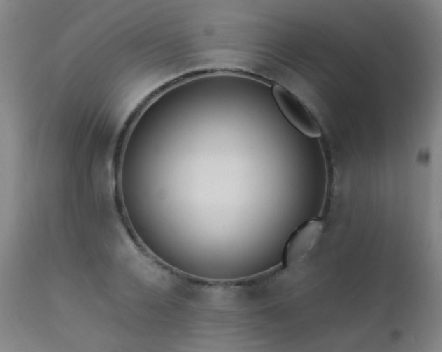 X0000112870936200908211423