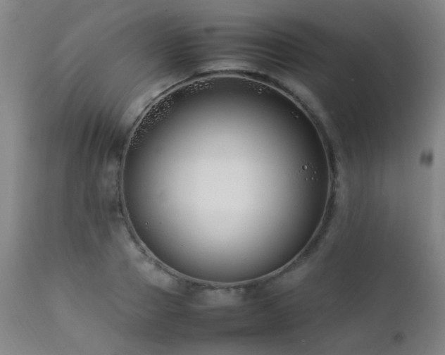 X0000112870937200908211423