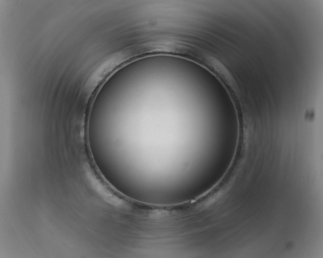 X0000112870938200908211423