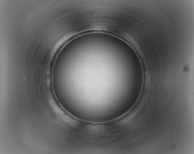 X0000112870939200908211423