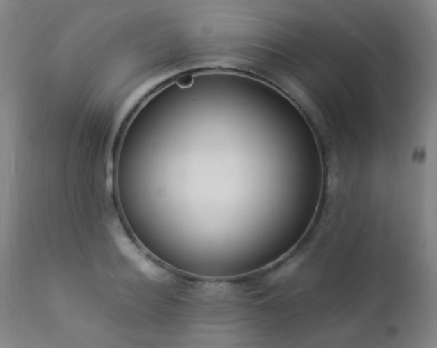 X0000112870940200908211423