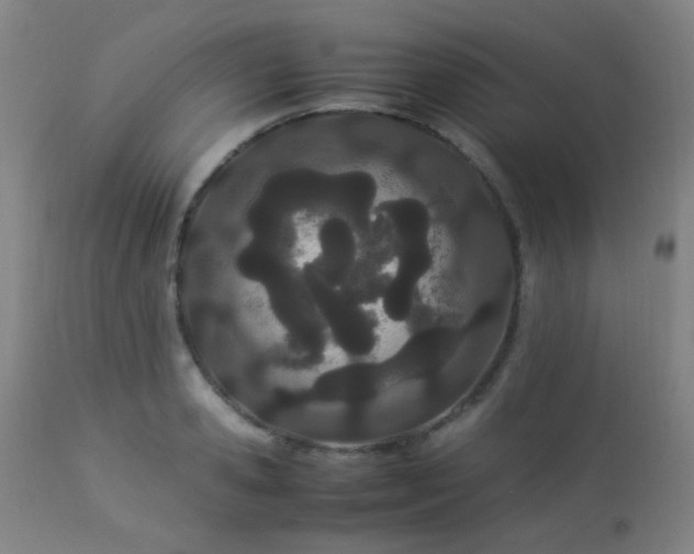 X0000112870941200908211423