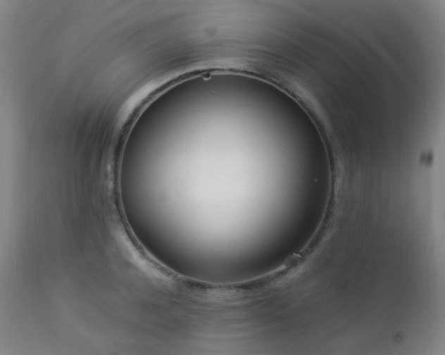 X0000112870944200908211423