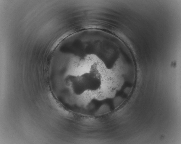 X0000112870945200908211423