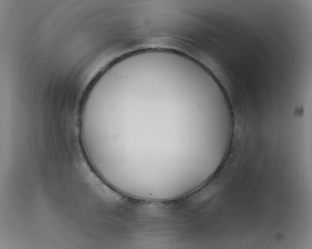 X0000112870950200908211423