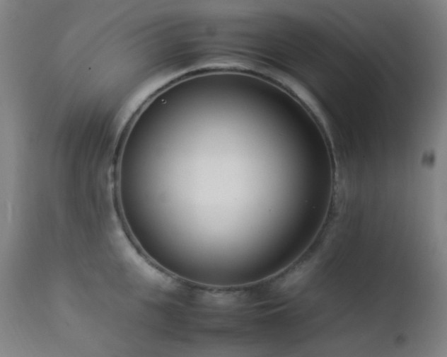 X0000112870951200908211423