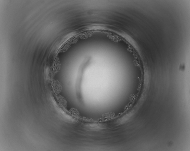X0000112870953200908211423