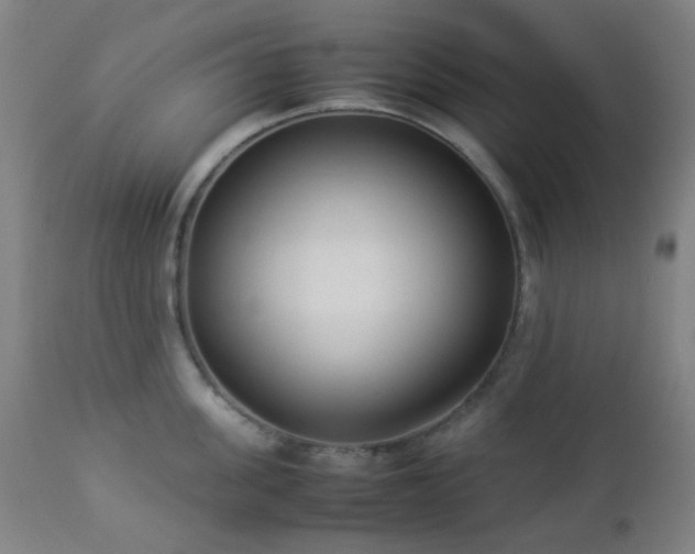 X0000112870955200908211423
