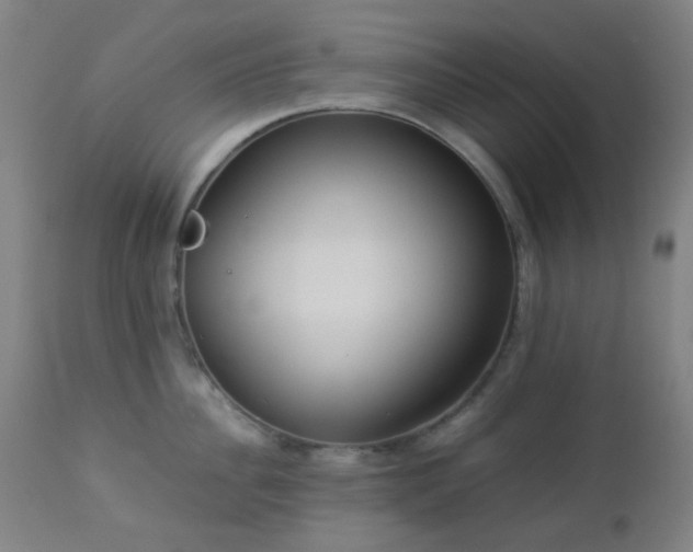 X0000112870956200908211423