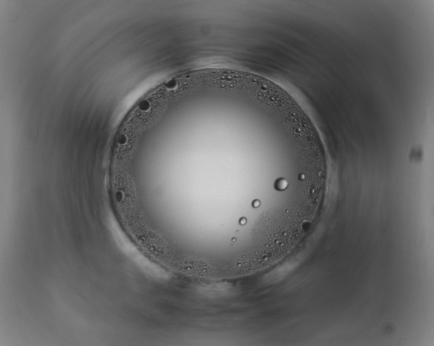 X0000112870957200908211423