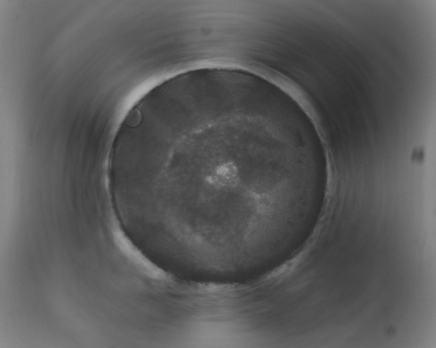 X0000112870958200908211423