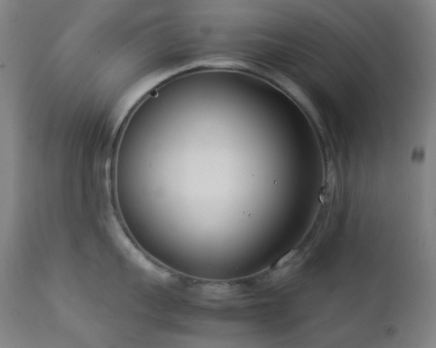 X0000112870959200908211423