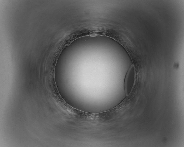 X0000112870961200908211422