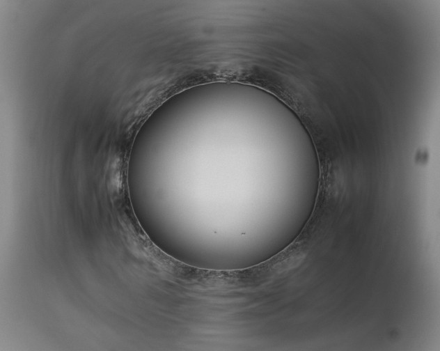 X0000112870962200908211422
