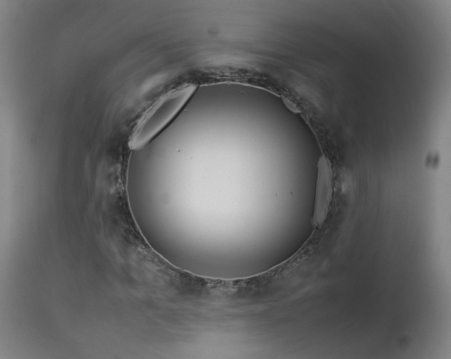 X0000112870965200908211422