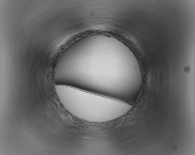 X0000112870968200908211422