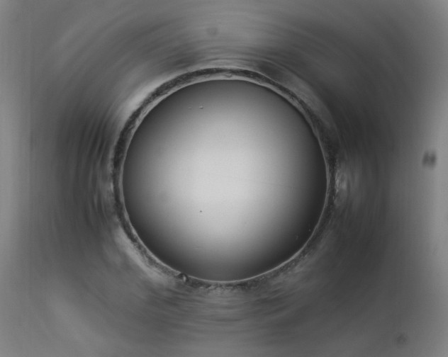 X0000112870972200908211422