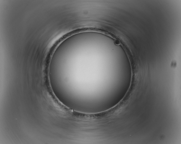 X0000112870975200908211422