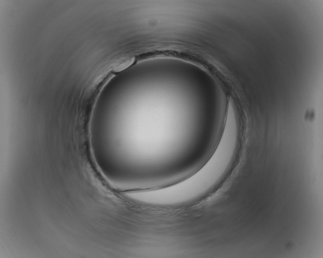 X0000112870977200908211422