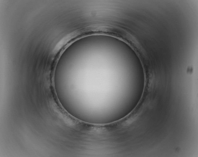 X0000112870978200908211422