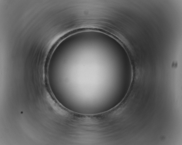 X0000112870980200908211422