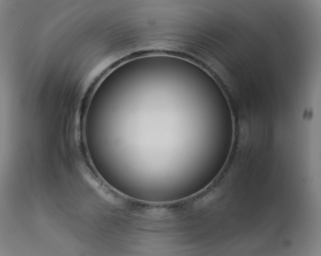 X0000112870982200908211422