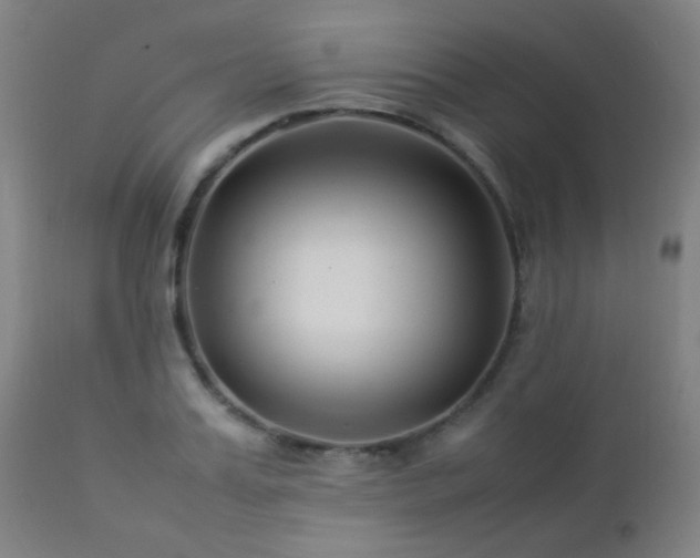 X0000112870987200908211422