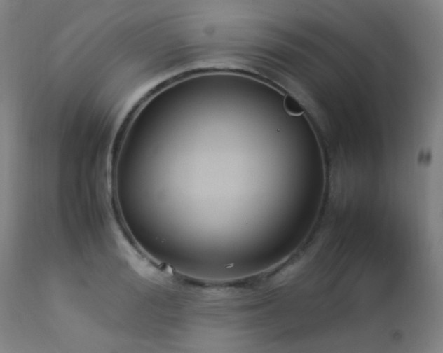 X0000112870988200908211422