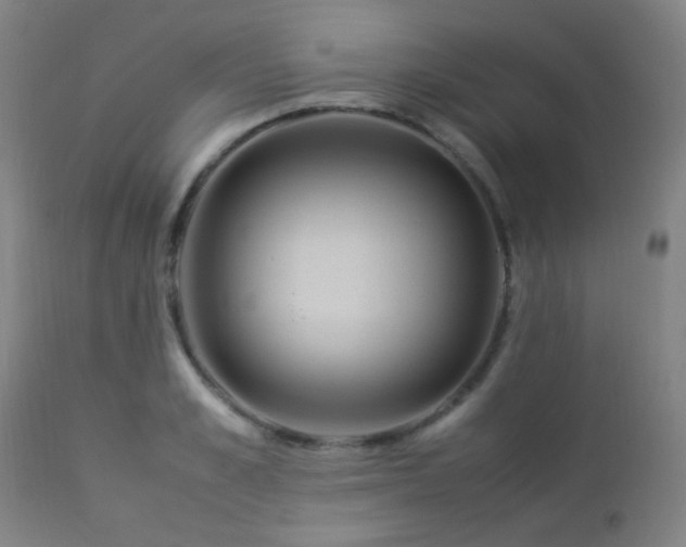 X0000112870989200908211422