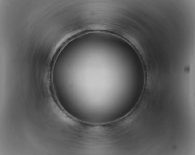 X0000112870992200908211422