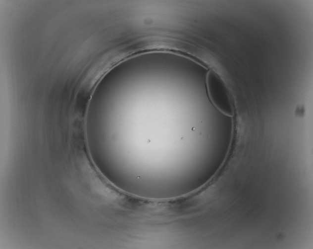 X0000112870993200908211422