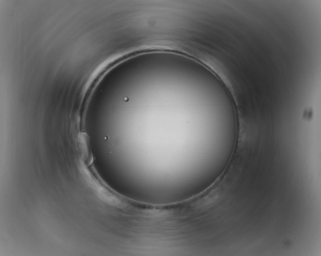 X0000112870996200908211422