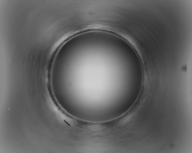 X0000112870999200908211422