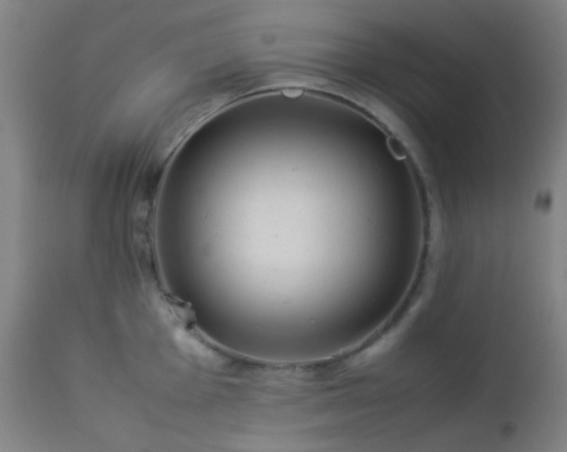 X0000112871001200908211422
