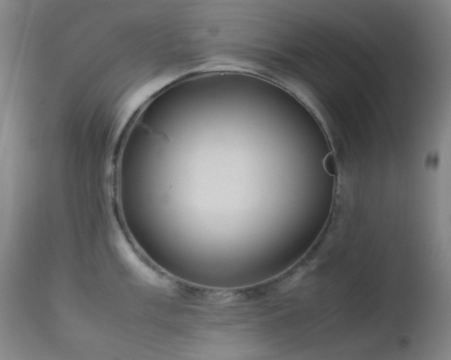 X0000112871003200908211422