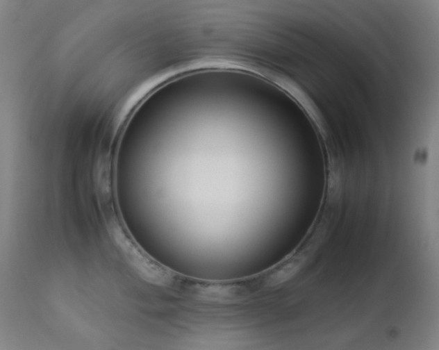 X0000112871004200908211422